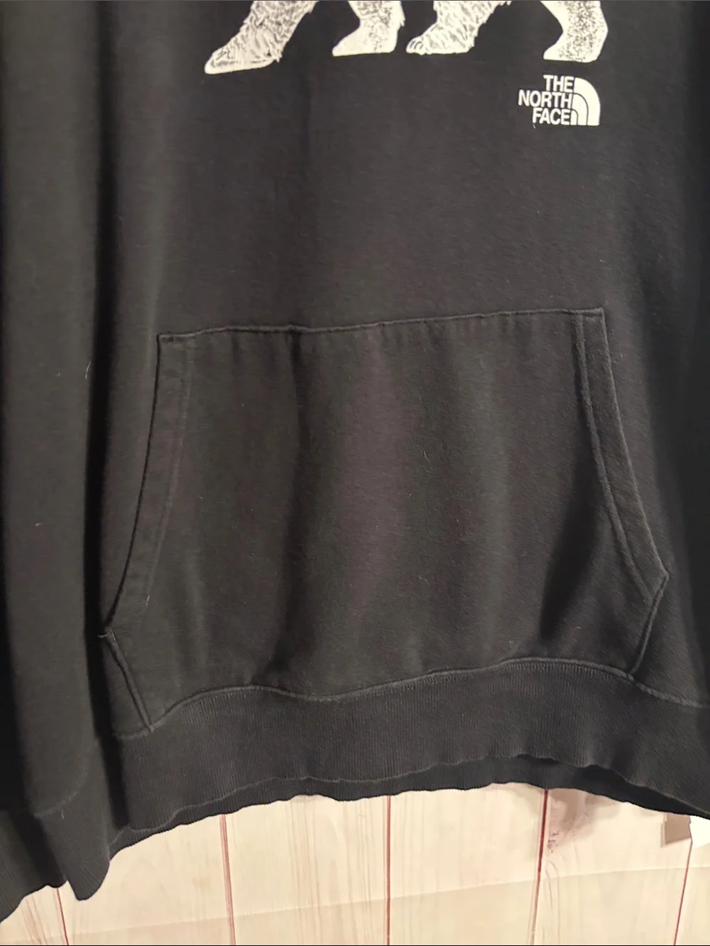 The North Face Men's Bear On The Move Standard-Fit Printed Hoodie | X-Large